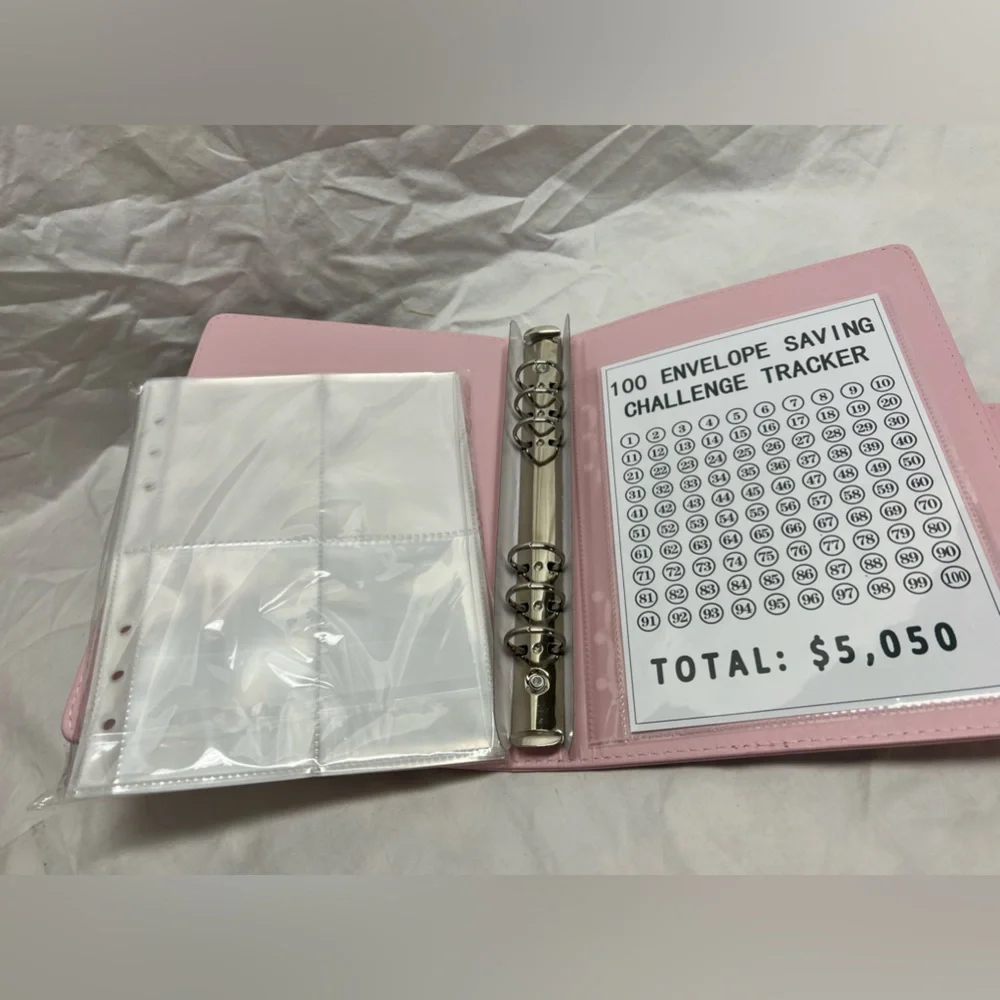 Savings money book pink